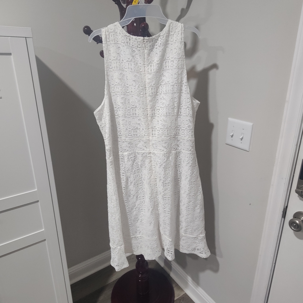 LOFT Elegant Backless Cream Lace Dress